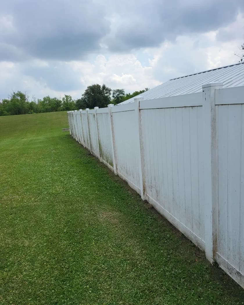 Wooden fence before and after cleaning