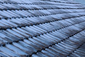 What Causes Black Streaks on Your Roof in New Orleans - pressure washing in new orleans - clean slate pressure wash